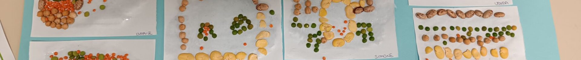 Progetto alimentare “i mattoncini alternativi”